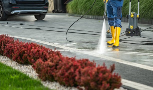 Animal Enclosure Cleaning in Jersey City, NJ